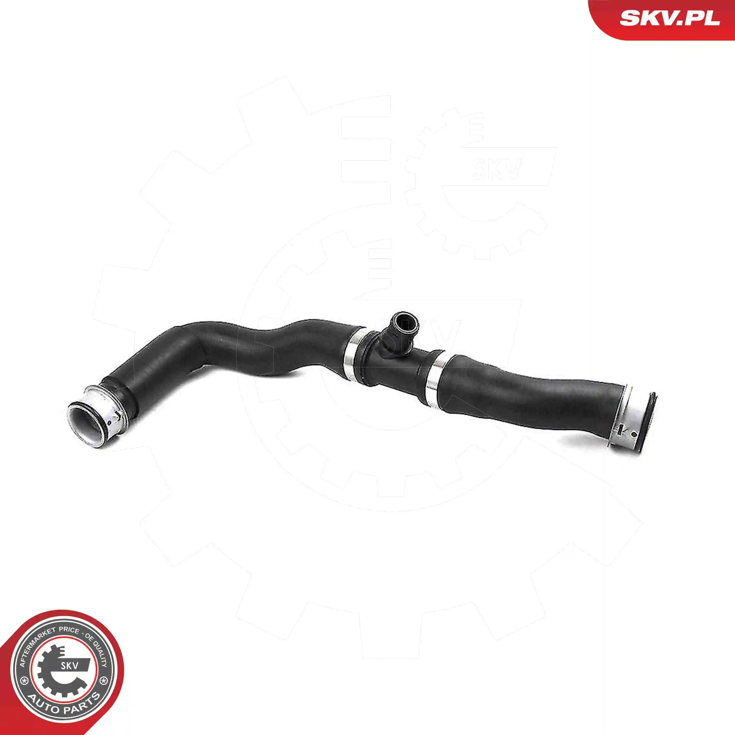 Radiator Hose